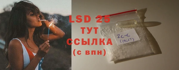 твердый Арсеньев