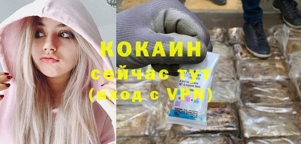 твердый Арсеньев