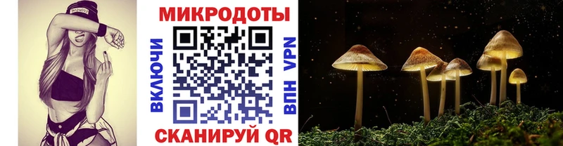 Галлюциногенные грибы Psilocybine cubensis  Краснотурьинск 